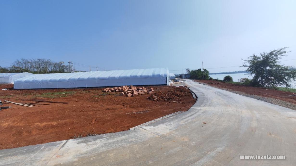 黄鳝苗基地.jpg